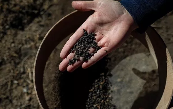 Archaeologists Uncover 5,000-Year-Old Barley Grains from Early Bronze Age in Türkiye