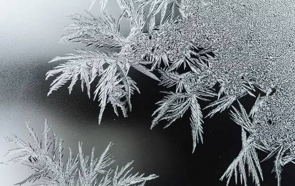 Kyrgyz Schoolchildren Go Online Amid Severe Frost