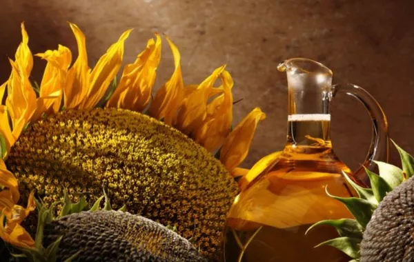 Uzbekistan to Boost Oilseed Crop Cultivation