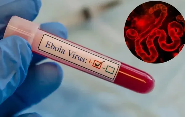 Uzbekistan Introduces New Ebola-Related Rules for US-Bound Passengers