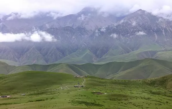 China To Build Biodiversity Bridge with Central Asia Through Plant Data Hub