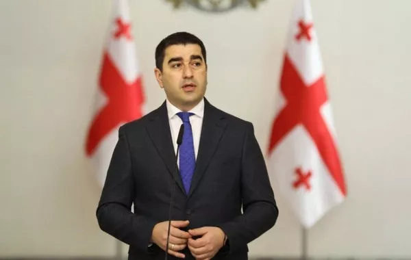 Georgian Parliament Speaker: Better a Paper EU Candidate Than a Paper State