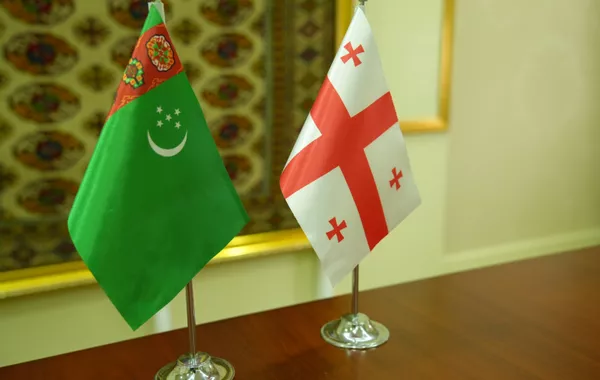 Georgia, Turkmenistan Explore Boosting Trade and Economic Ties