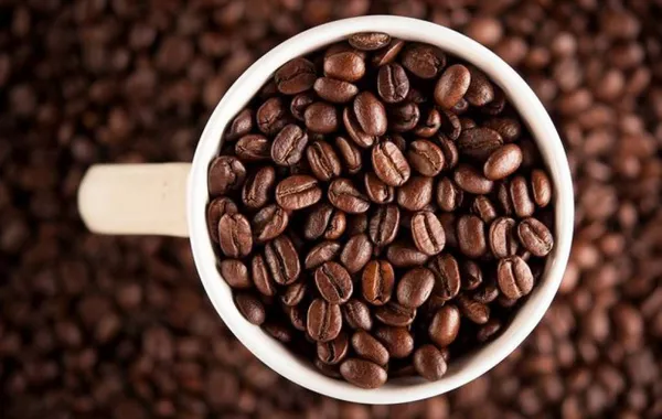 Italy Becomes Top Coffee Supplier to Uzbekistan