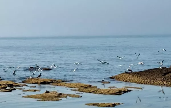 Turkmenistan Calls Caspian Sea a “Sea of Peace” after Vessel Attack