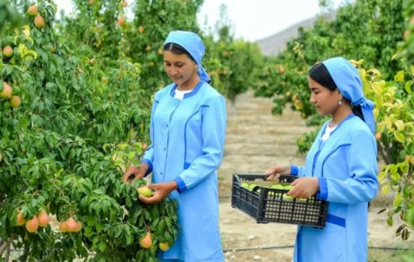 Turkmenistan Boosts Women’s Business Skills in New Nationwide Program Phase