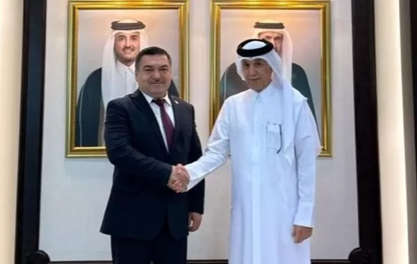Tajikistan and Qatar Hold Political Consultations