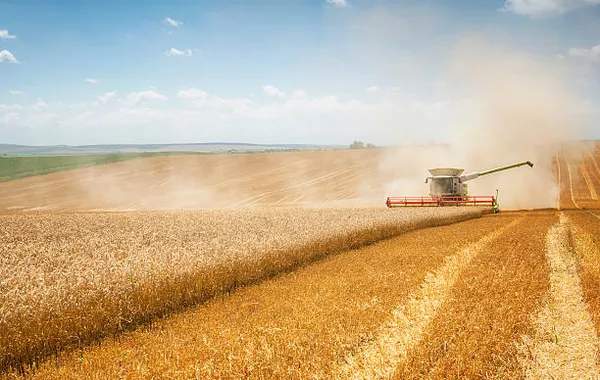 Russia Weighs Cryptocurrency Use in Grain Trade