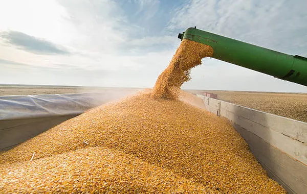 Harvesting Campaign Begins In Kazakhstan