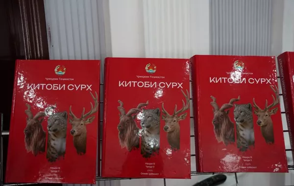 Tajikistan Unveils New Red Data Book to Protect Endangered Species