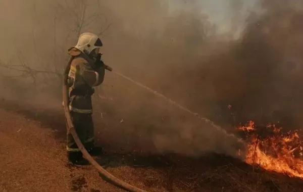 Extreme Fire Alert in East Kazakhstan as Temperatures Near 50°C