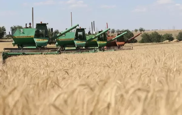 Kazakh Government to Review Harvest Results and Boost Sports Development