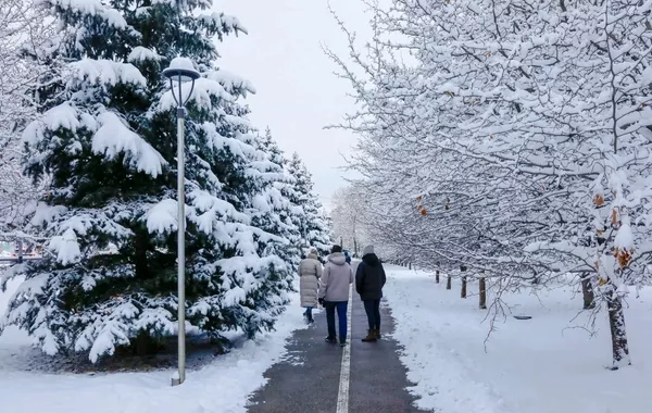 Kazakhstan Faces Snow, Blizzard, and Temperature Swings