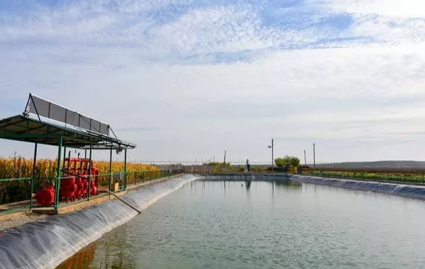 Uzbekistan Sets 2030 Goals for Water-Saving Irrigation