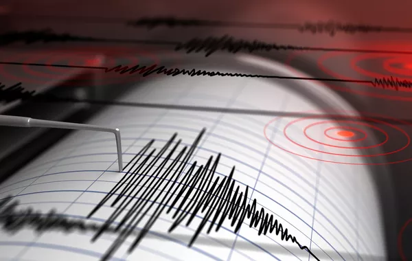 4.6-Magnitude Earthquake Hits Kyrgyzstan
