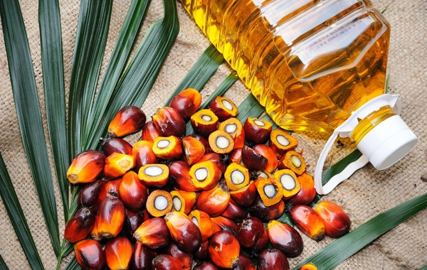 Malaysia Exports RM288.23M in Palm Oil to Central Asia in 2024