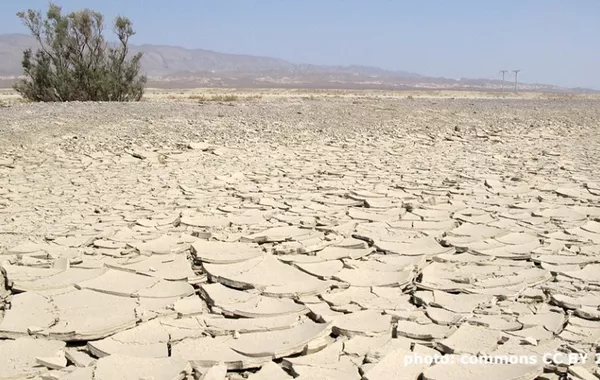Water Scarcity in Central Asia Poses Risks for China, EU