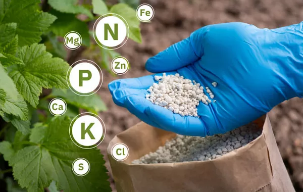 Kyrgyzstan Ramps Up Fertilizer Purchases From Russia