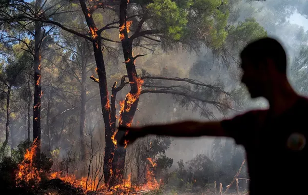 Türkiye Proposes Life Sentences for Forest Arsonists Amid Surge in Wildfires