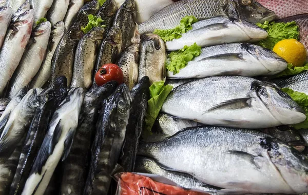 Russia’s Fish Imports from Georgia Hit Record High in May