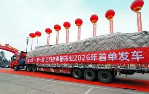 China Ships First 2026 Green Tea Consignment to Tashkent