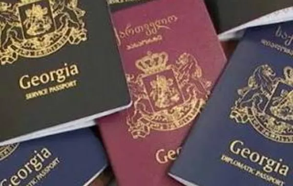 Georgia to Make Residency Easier for IT Professionals