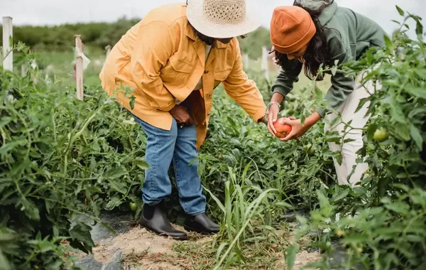 France Opens Farm Jobs for Uzbek Workers With €1,650 Monthly Salary