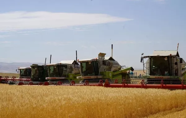 Chinese Investors Launch Two Major Agro-Industrial Projects in Kazakhstan