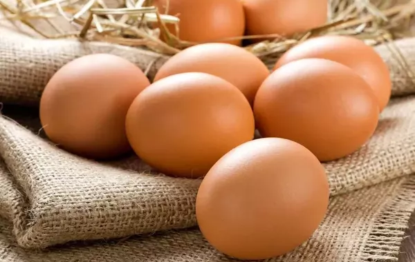 Kyrgyzstan's Egg Exports to Kazakhstan Skyrocket Eightfold in 2025