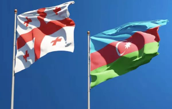 Azerbaijan, Georgia to Explore Educational Cooperation