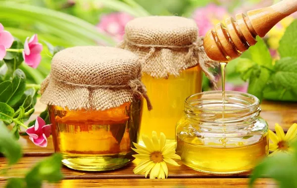 Uzbekistan Opens Market to Kyrgyz Honey in New Agreement