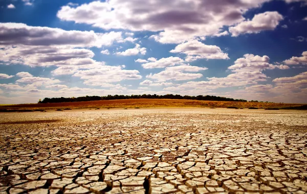 Kazakhstan Faces Growing Pressure to Tackle Environmental Crisis