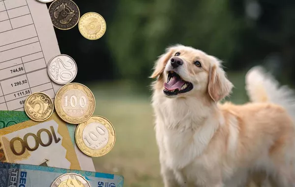 Kazakhstan Considers Taxes for Dog Owners