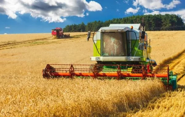 Kazakhstan Emerges as Major Player in Global Wheat Market