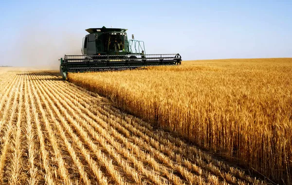 Kyrgyzstan Launches $24 Million Agro-Industrial Zone