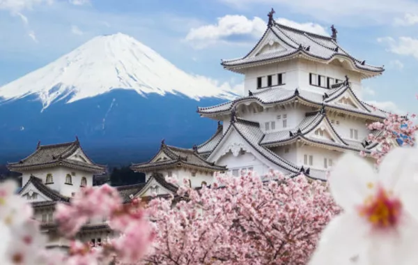 Japan to Host First-Ever Summit With Central Asia in 2025