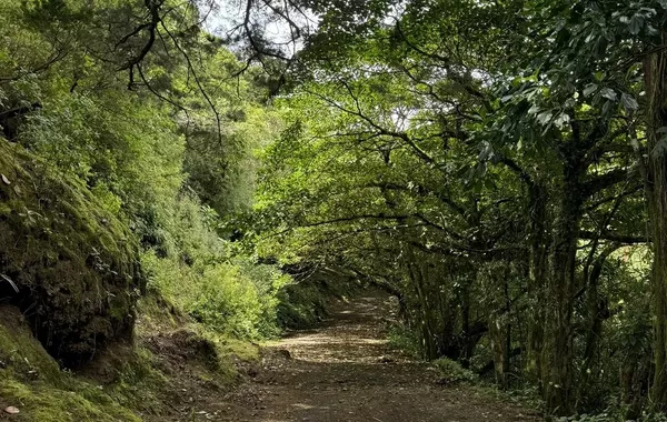 Georgia to Create New National Park Near Azerbaijani Border