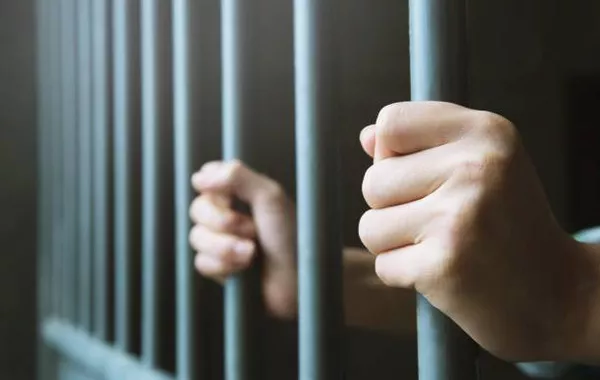 Number of Foreign Inmates in Georgia More Than Triples