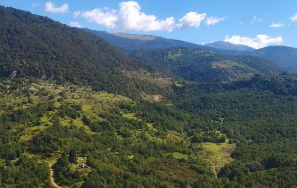 Georgia Expands Protected Lands With New Egrisi National Park
