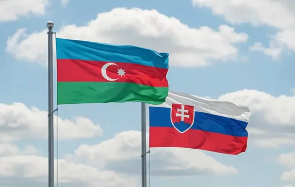 Azerbaijan, Slovakia Approve Deal on Classified Information