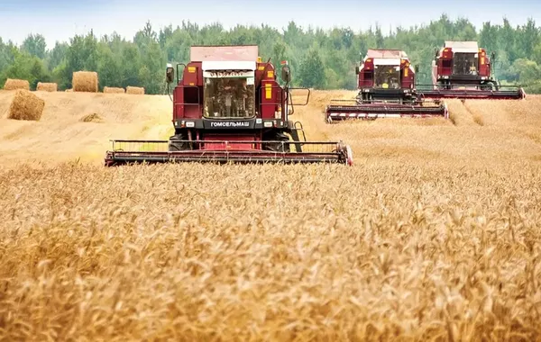 Uzbekistan to Develop Livestock Farming on Leased Land in Belarus