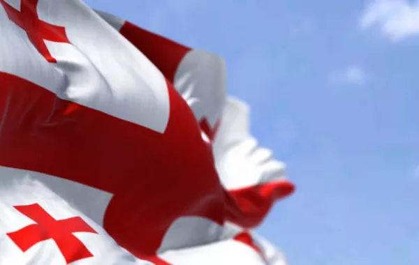 Exclusion from Peace Board and Davos Leaves Georgia Concerned