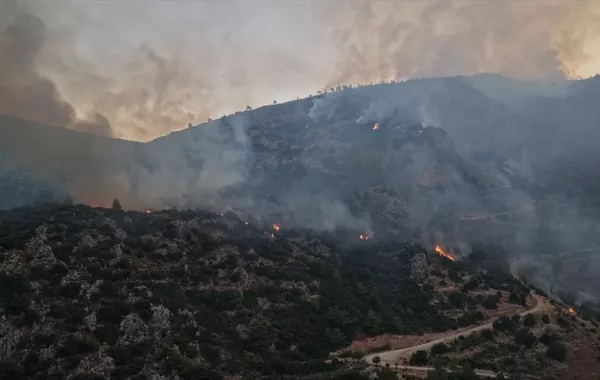 Wildfires Spread Across Türkiye as Strong Winds Fuel Blazes