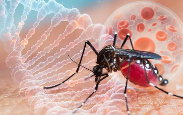 Russia Reports First Imported Case of Chikungunya Fever