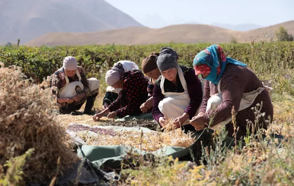 Tajik Government Greenlights Ambitious Five-Year Digital Agriculture Strategy