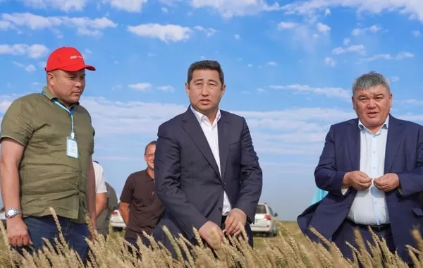 Kazakhstan's Kostanay Unveils $1 Billion Agriculture Investment Drive with 42 New Projects