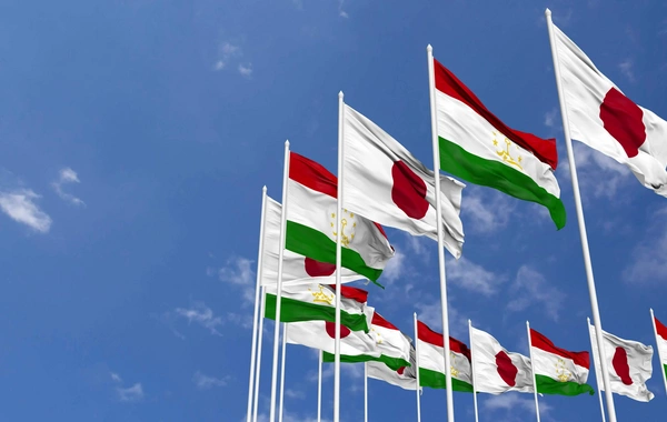 Tajikistan and Japan Hold Talks on Central Asia-Japan Summit Preparations