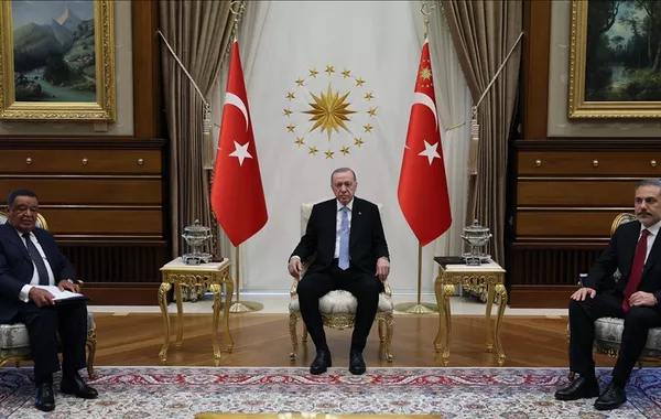 Erdogan's Visit to Ethiopia: A New Geopolitical Balance in the Horn of Africa