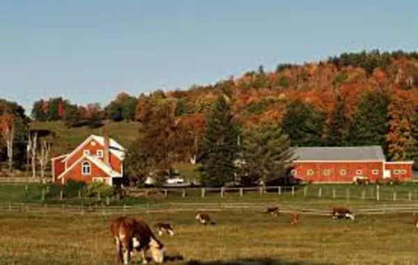 Uzbek Workers to Get Jobs on US Farms Under New Migration Deal