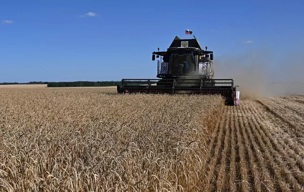 Russia Loses Most of its Wheat Buyers in a Year